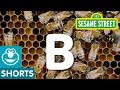 Sesame Street B Is For Bees