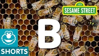 Sesame Street: B is for Bees