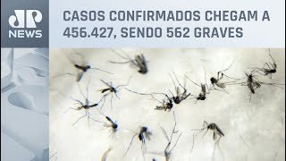 Estado de SP registra 221 mortes por dengue em 2024