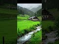 Zindagi Pyar Ka Geet Hai Lata Mangeshkar Asthetic Trend Nature Love Status Ytshorts