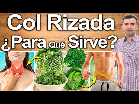 , title : 'Col Rizada ¿Para Qué Sirve? - Beneficios De La Col Crespa Para Tu Salud Y Belleza'