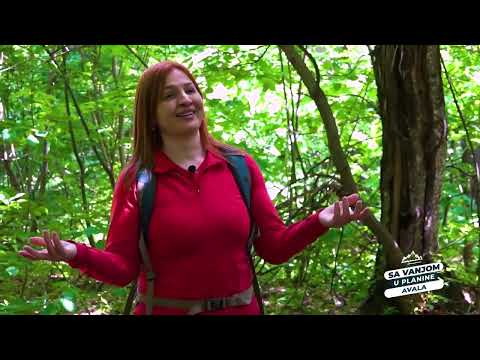 Sa Vanjom u planine - Avala