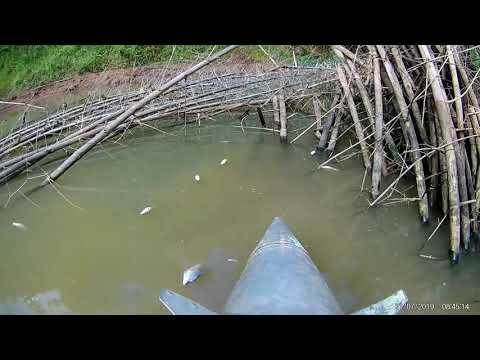 Dynamite fishing in the River 2019