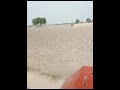 Driving Fiat Tractor Model 640 Itly