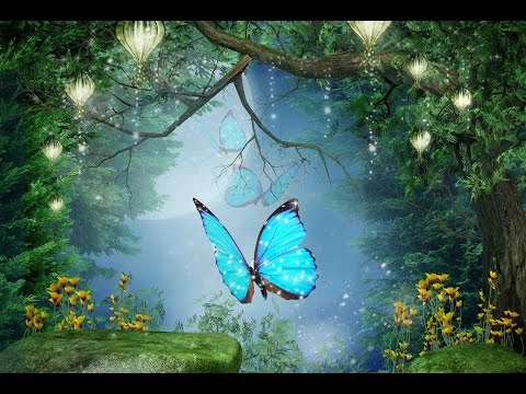 Peaceful Music, Relaxing Music, Instrumental Music  Enchanted Forest by Tim Janis