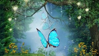 Peaceful Music, Relaxing Music, Instrumental Music  &quot;Enchanted Forest&quot; by Tim Janis