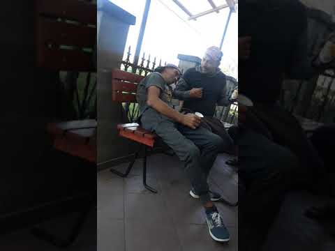 Radu de la Băbășești și BORES