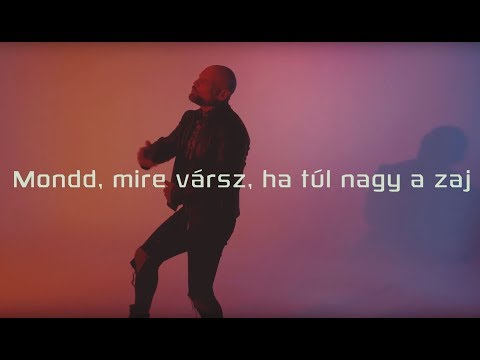 Kocsis Tibor - Ha túl nagy a zaj