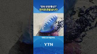 "절대 만지지 마라" 경고 #shorts / YTN