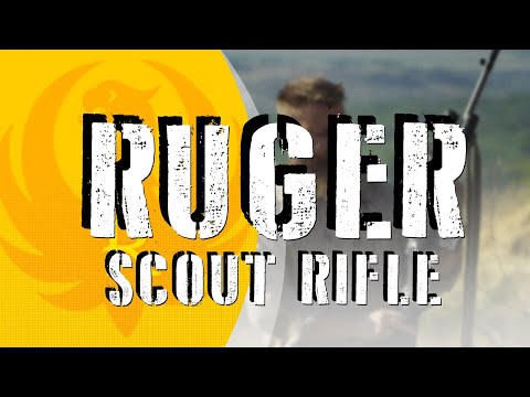 https://youtu.be/bgXF6LuRkug