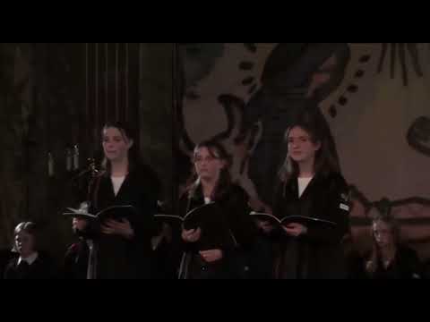 Bikkembergs, Historia Nativitatis Domini Nostri Iesu Christi