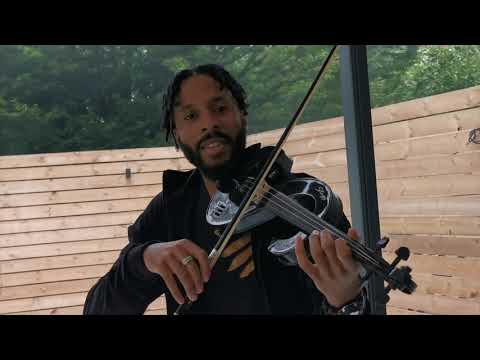 Chris Brown & Young Thug - Go Crazy - J Hope Violin Cover