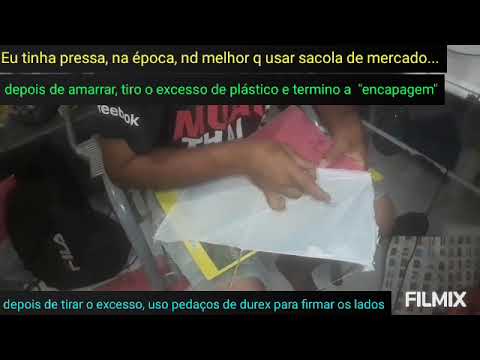 d.t.c #33: pipa "noventista"