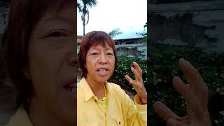 May,2,2026 Koh Samui (Thailand)