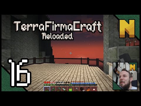 TerraFirmaCraft Reloaded - 16 - Domestic Bliss... and Graphite!!