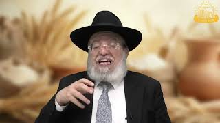 דף היומי בחצי שעה – מסכת מנחות דף ס"א HD (מוסדות כיסא רחמים) - התמונה מוצגת ישירות מתוך אתר האינטרנט יוטיוב. זכויות היוצרים בתמונה שייכות ליוצרה. קישור קרדיט למקור התוכן נמצא בתוך דף הסרטון