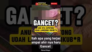 Download lagu Ada yang tau Gancet? #shorts #podcast #gancet #dennysumargo #fypシ #viral #trending #foryou mp3