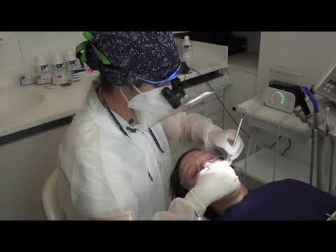 Omni Prophylaxebehandlung durch DH Yvonne Gehardt-Panzer