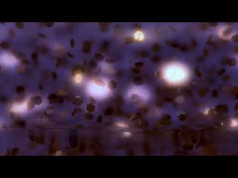 Phytoplankton biomass is significantly reduced by exposure to any type of glitter