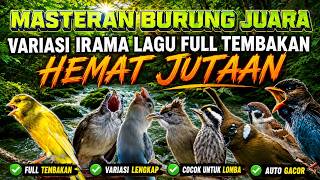 Download lagu MASTERAN BURUNG VARIASI IRAMA LAGU FULL TEMBAKAN KASAR mp3