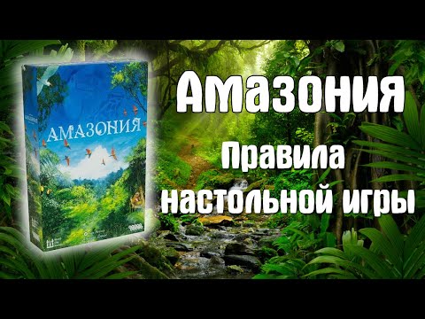 фото амазония 0