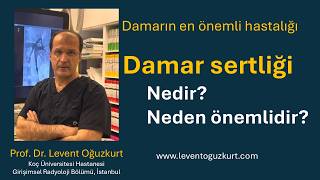 Damar Sertliği (Ateroskleroz) Nedir? Nedenleri, Korunma ve Tedavi
