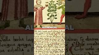 Download lagu The Acacia Throughout Myth and Religions #DMT #acacia #mythology #ayahuasca #shamanism #enthogen mp3 Download lagu The Acacia Throughout Myth and Religions #DMT #acacia #mythology #ayahuasca #shamanism #enthogen mp3
