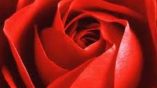 Whitehaven Male Voice Choir - The Rose