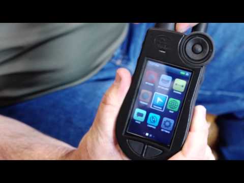 sportdog training video