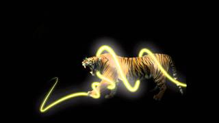 ALBOROSIE JESUS HE´S COMING