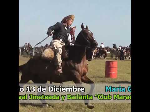 Paleteada de vacunos en Campo Andino Santa Fe