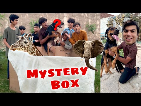 Mystery Box Opening 😍 Kia Kia Nikla is Mein ? 