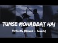 Tumse Mohabbat Hai Slowed Reverb JalRaj TumseMohabbatHai Slowed Lofi Slowedandreverb