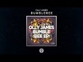 Olly James - Bumblebee 