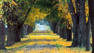 Rachel's - Wouldn't Live Anywhere Else