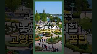 최대 26% 할인! 고양국제꽃박람회 똑똑하게 즐기는 법