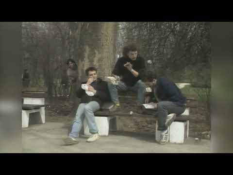 Crtice iz arhiva BHRT-a: Tragom ptice dodo