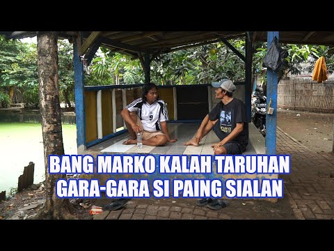 Bang Marko Kalah Taruhan Gara-Gara Si Paing Sialan