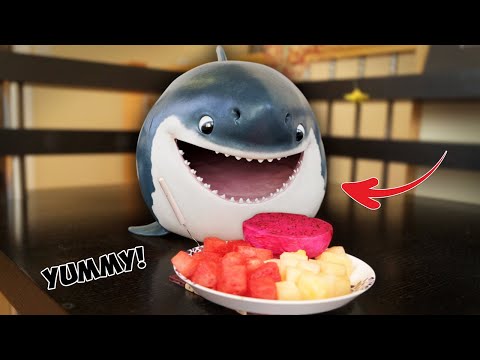 Adorable Baby Shark Steals Dragon Fruit – What Happens Next is Priceless!
