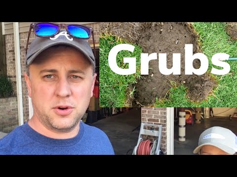 YouTube video about: Can I apply grubex and fertilizer at the same time?