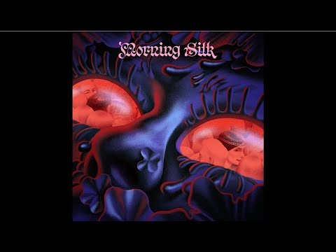 Morning Silk - So Fun (feat. Sur Back & Koleżanka)