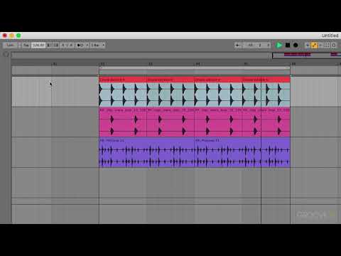 The Basic Components (Ableton Live 10 Explained)