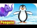 Penguin Song On Birds 4K Appu Series