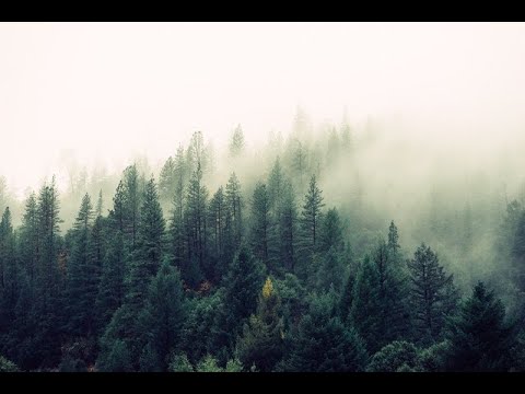 MOOD MUSIC | Chill Out #1 | The Best