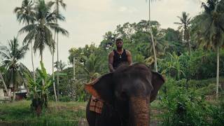 Video thumbnail image