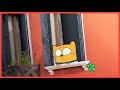 Ollie Y Moon Buscando A Ollie Y Moon