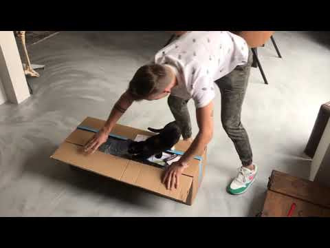 Unboxing Tomoshop / Puchshop. Tomos Garage