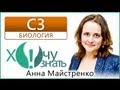 C3-13 по Биологии Подготовка к ЕГЭ 2013 Видеоурок 