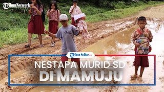Demi Menimba Ilmu, Puluhan Murid di Pelosok Mamuju Tengah Rela Lewati Kubangan Lumpur untuk Sekolah