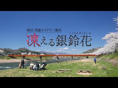 ֽġ˼ߥƥ꡼⡡न֡ץץ⡼ӥǥ